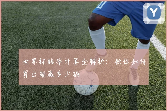 世界杯赔率计算全解析：教你如何算出能赢多少钱