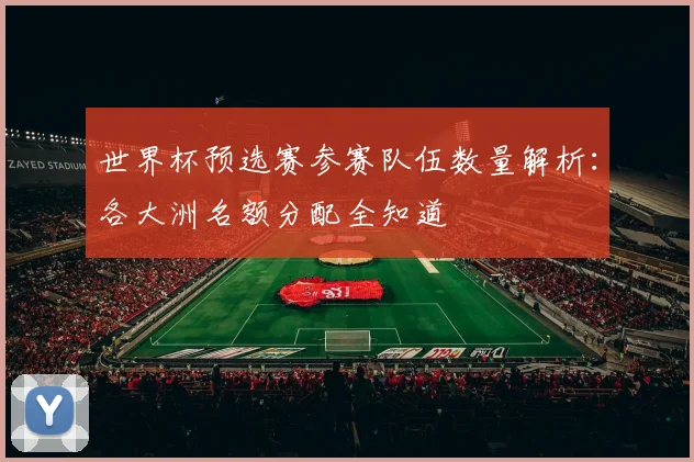 世界杯预选赛参赛队伍数量解析：各大洲名额分配全知道