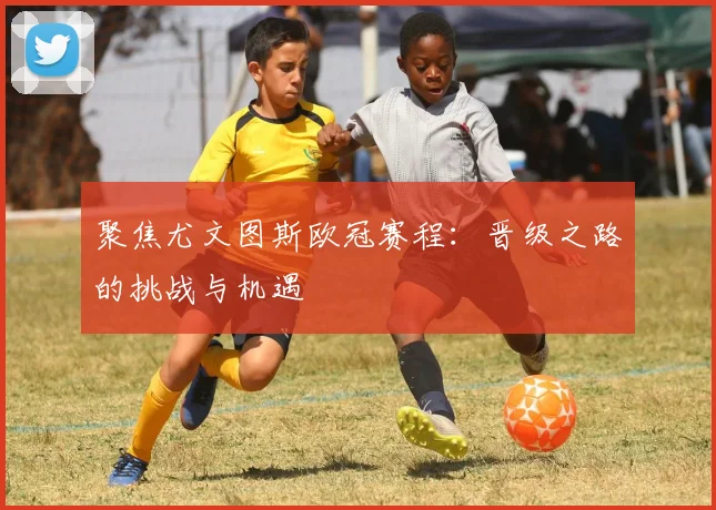 聚焦尤文图斯欧冠赛程：晋级之路的挑战与机遇