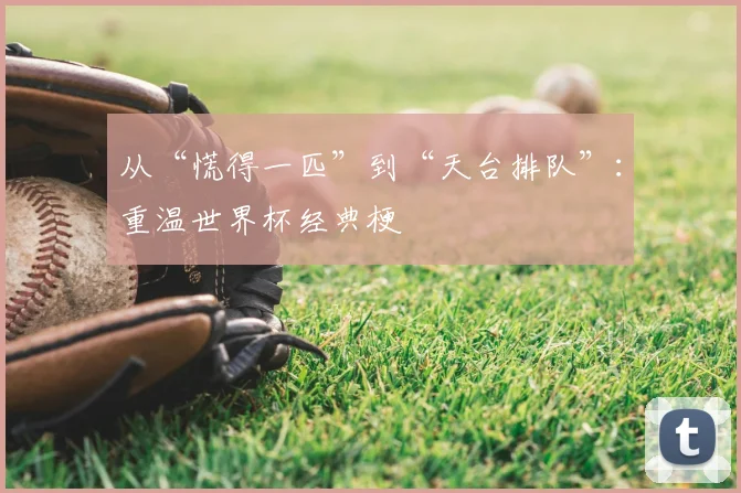 从“慌得一匹”到“天台排队”:重温世界杯经典梗