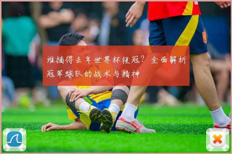 谁摘得去年世界杯桂冠？全面解析冠军球队的战术与精神