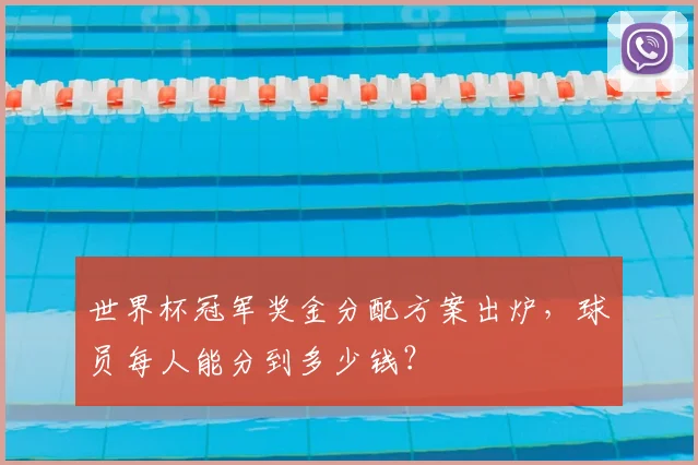 世界杯冠军奖金分配方案出炉，球员每人能分到多少钱？