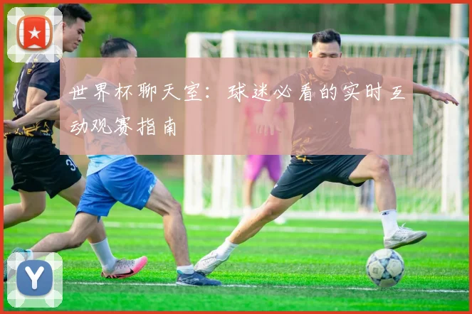世界杯聊天室：球迷必看的实时互动观赛指南