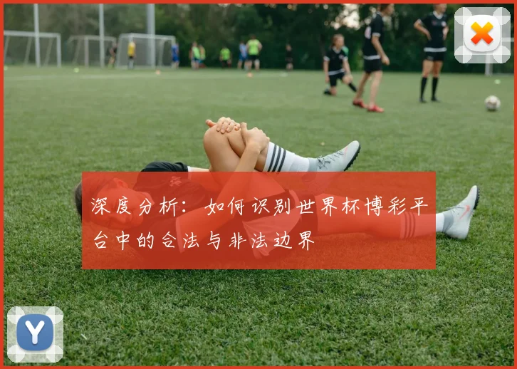 深度分析：如何识别世界杯博彩平台中的合法与非法边界