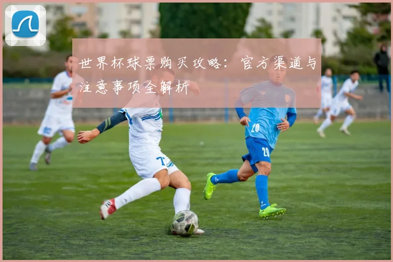 世界杯球票购买攻略：官方渠道与注意事项全解析