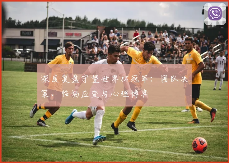 深度复盘守望世界杯冠军：团队决策、临场应变与心理博弈