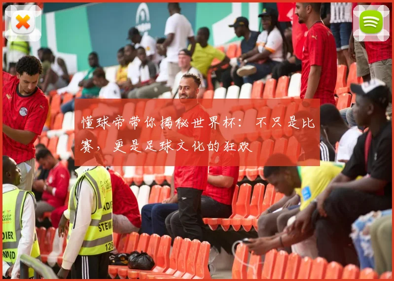 懂球帝带你揭秘世界杯：不只是比赛，更是足球文化的狂欢
