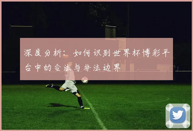 深度分析：如何识别世界杯博彩平台中的合法与非法边界
