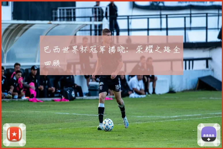 巴西世界杯冠军揭晓:荣耀之路全回顾