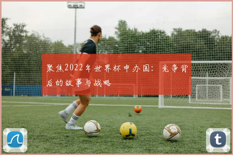 聚焦2022年世界杯申办国：竞争背后的故事与战略