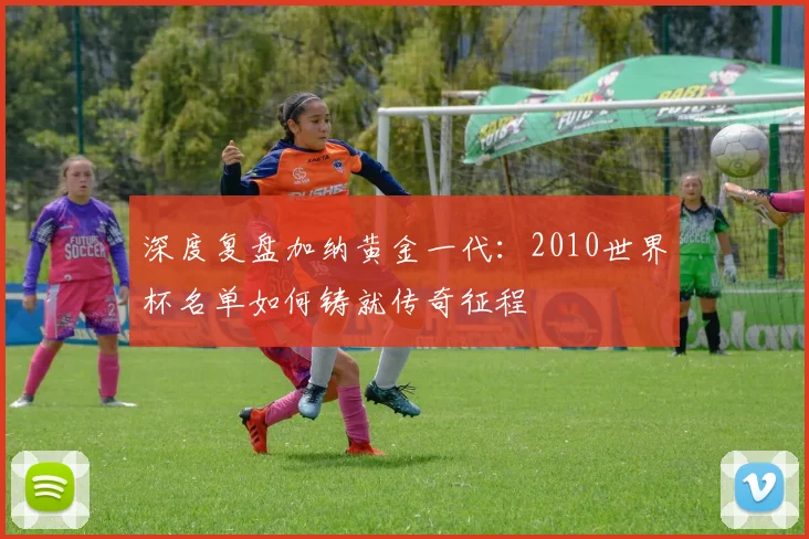 深度复盘加纳黄金一代：2010世界杯名单如何铸就传奇征程