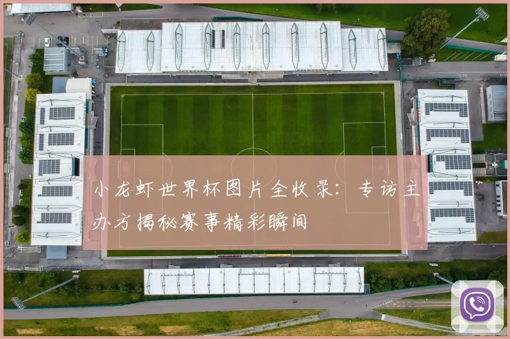 小龙虾世界杯图片全收录:专访主办方揭秘赛事精彩瞬间