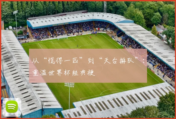 从“慌得一匹”到“天台排队”：重温世界杯经典梗